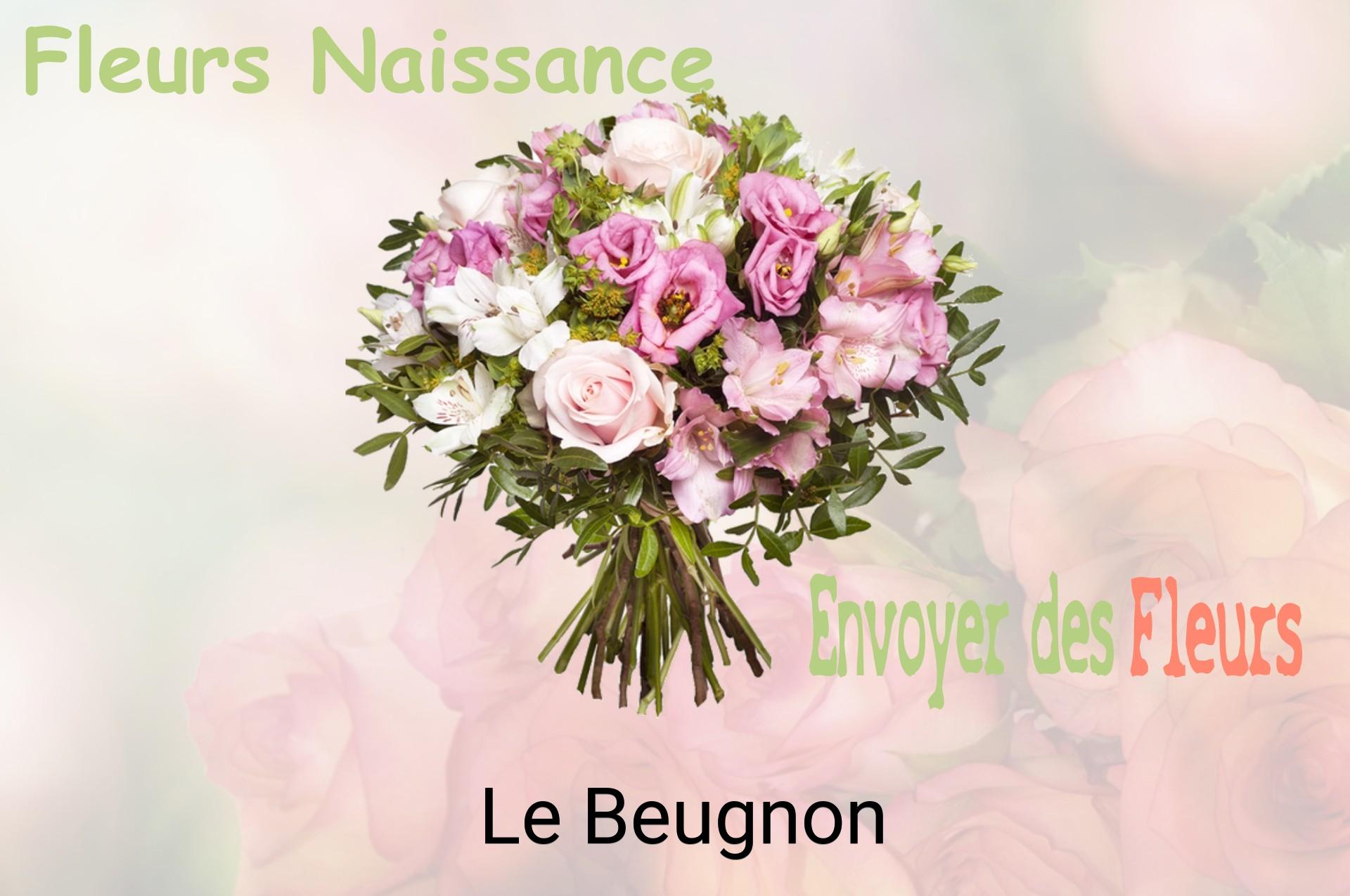Bouquet de fleurs de naissance livré à Le Beugnon