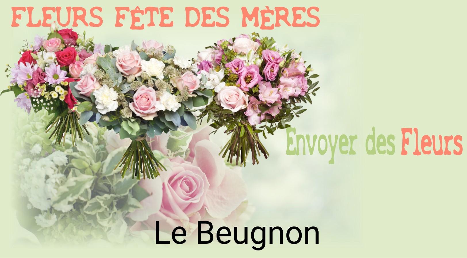 Bouquet de Fête des Mères livré à Le Beugnon